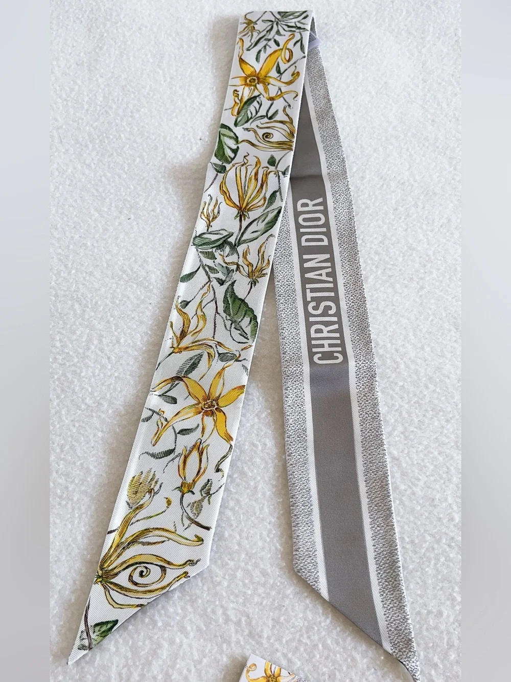 Dior Jardin D’hiver Mitzah Silk Scarf
